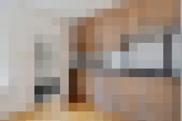 Dissel 7 Zuidwolde thumbnail 16