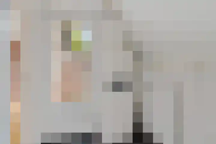 Dissel 7 Zuidwolde thumbnail 17