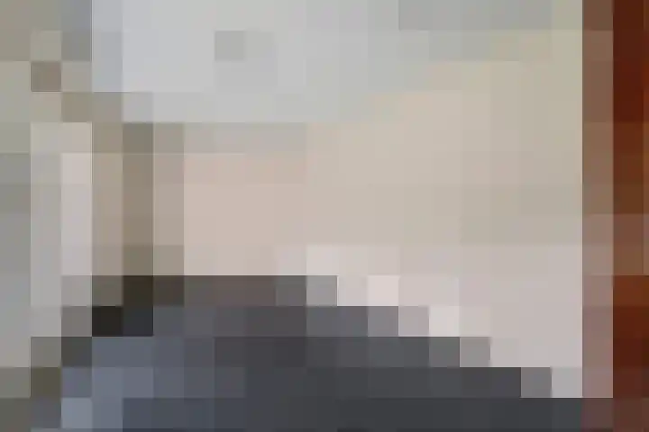 Dissel 7 Zuidwolde thumbnail 19