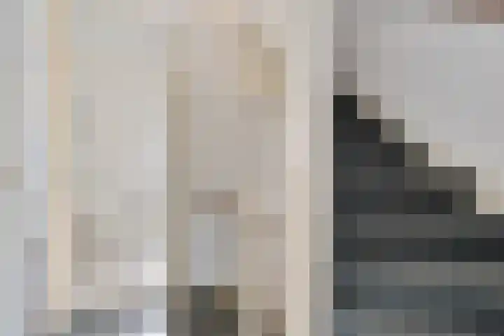 Dissel 7 Zuidwolde thumbnail 21
