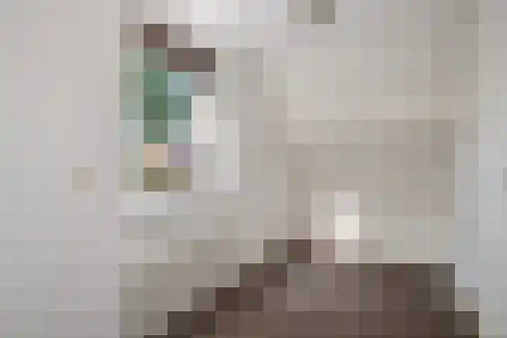 Dissel 7 Zuidwolde thumbnail 22