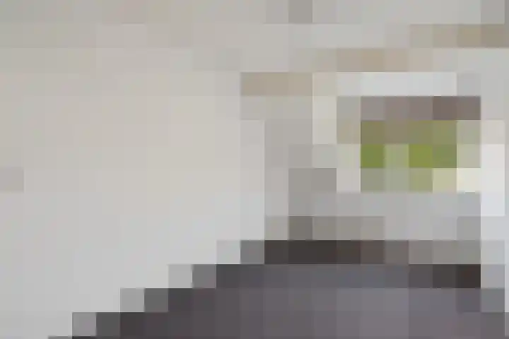 Dissel 7 Zuidwolde thumbnail 23