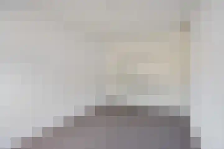 Dissel 7 Zuidwolde thumbnail 24