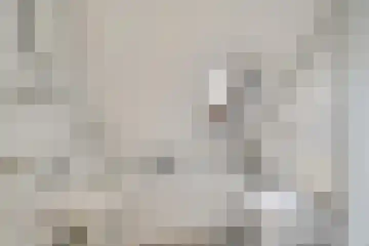 Dissel 7 Zuidwolde thumbnail 27