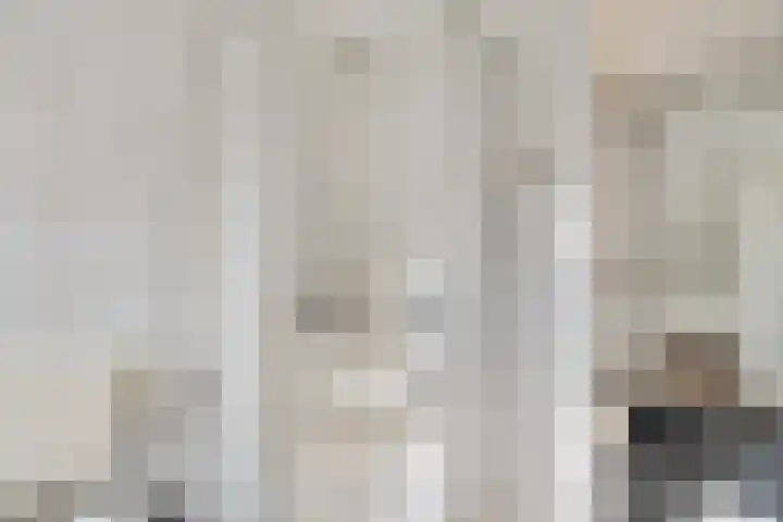 Dissel 7 Zuidwolde thumbnail 28