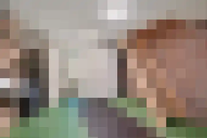 Dissel 7 Zuidwolde thumbnail 31