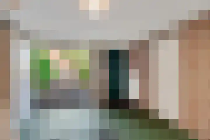 Dissel 7 Zuidwolde thumbnail 32