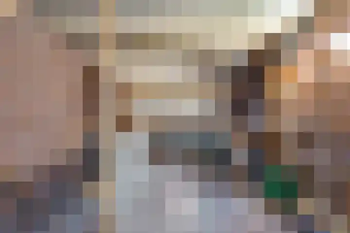 Dissel 7 Zuidwolde thumbnail 33