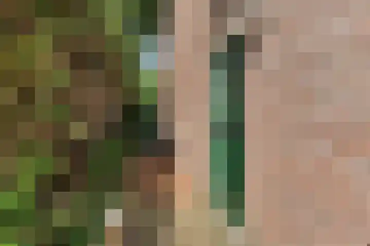 Dissel 7 Zuidwolde thumbnail 35