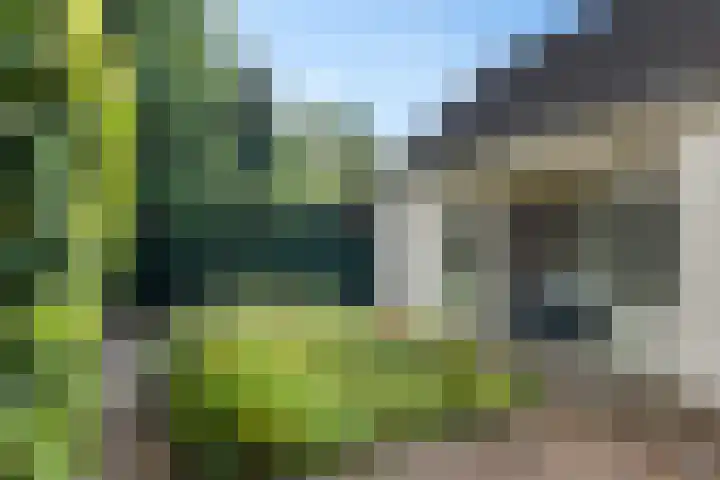 Dissel 7 Zuidwolde thumbnail 36