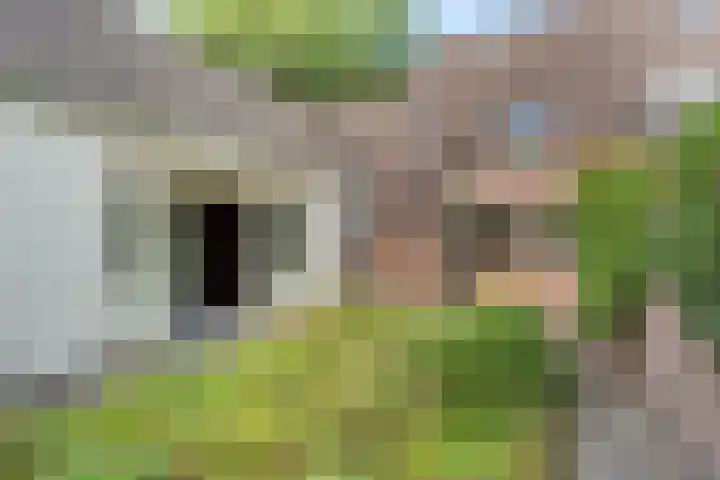 Dissel 7 Zuidwolde thumbnail 38
