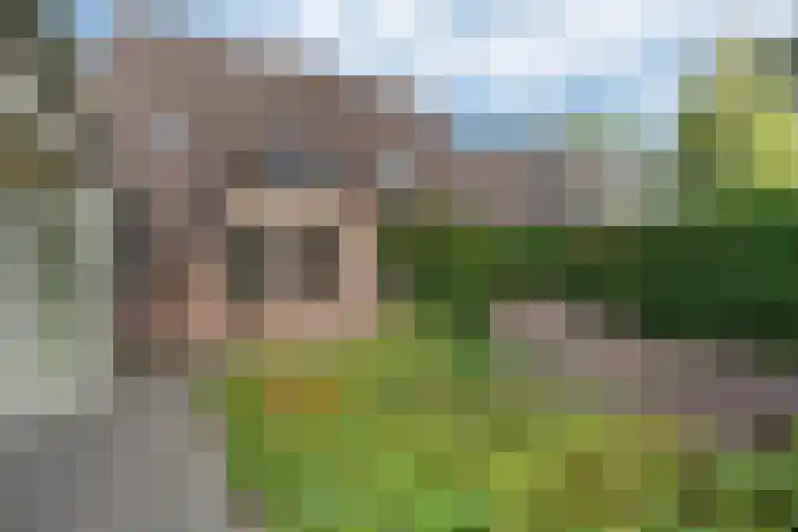 Dissel 7 Zuidwolde thumbnail 39