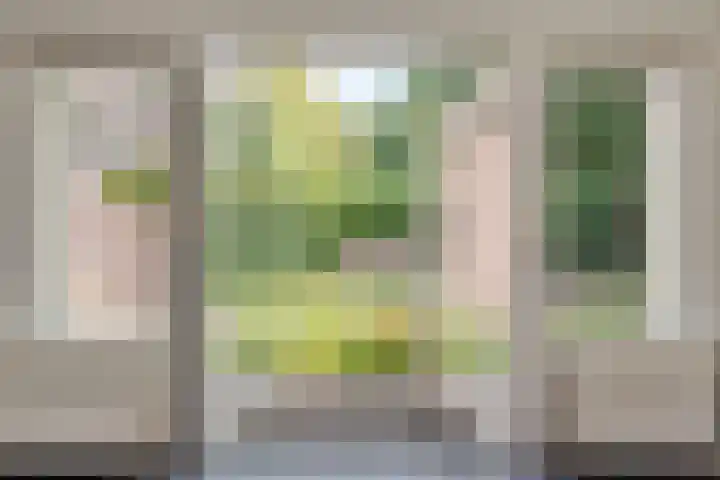 Dissel 7 Zuidwolde thumbnail 4