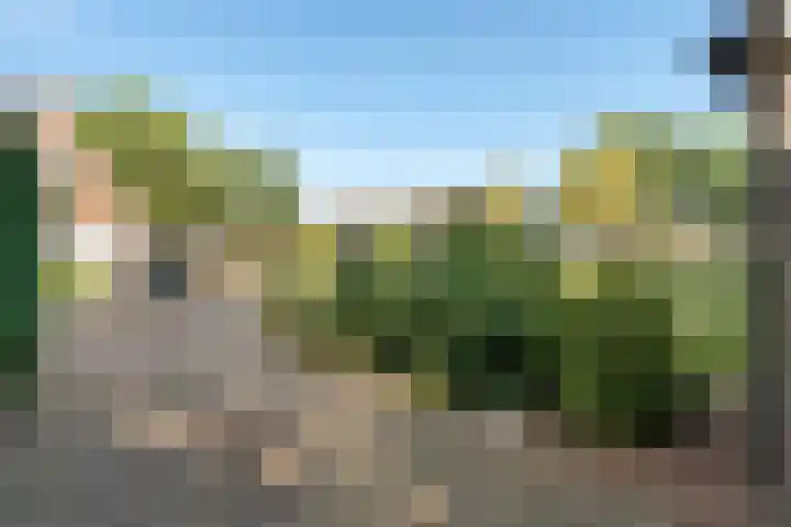 Dissel 7 Zuidwolde thumbnail 40