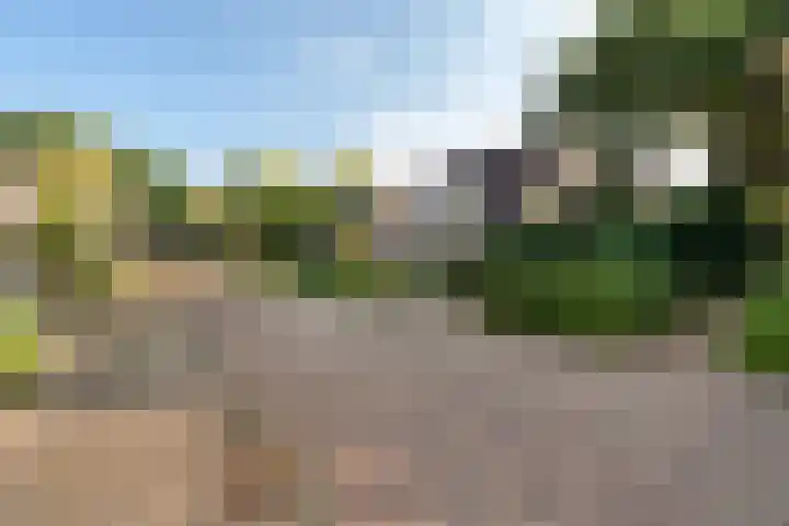 Dissel 7 Zuidwolde thumbnail 41