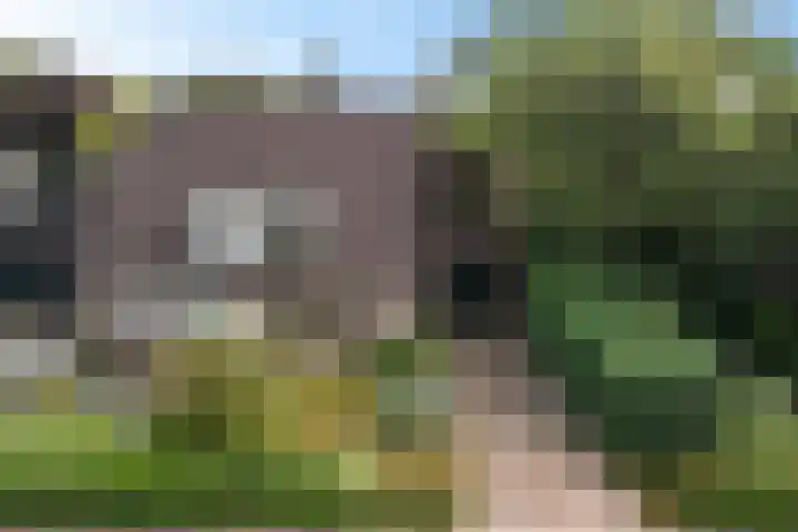 Dissel 7 Zuidwolde thumbnail 42