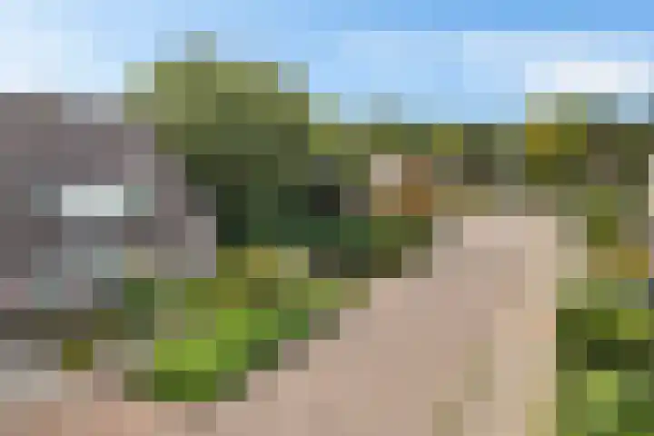 Dissel 7 Zuidwolde thumbnail 43