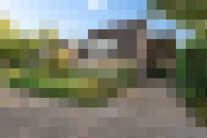 Dissel 7 Zuidwolde thumbnail 44
