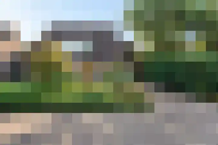 Dissel 7 Zuidwolde thumbnail 5