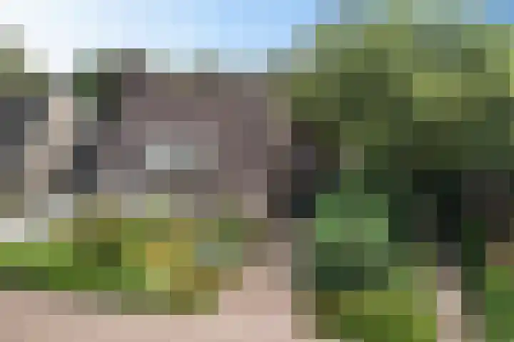Dissel 7 Zuidwolde thumbnail 6