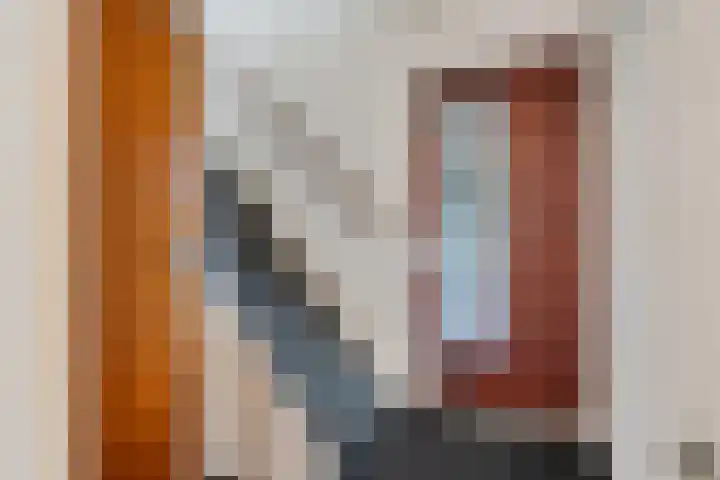 Dissel 7 Zuidwolde thumbnail 7