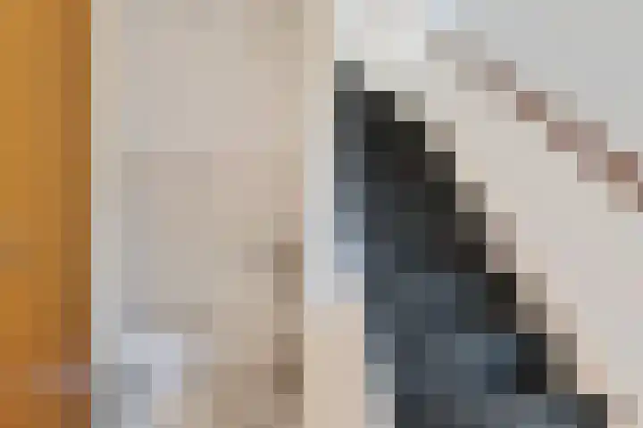 Dissel 7 Zuidwolde thumbnail 8