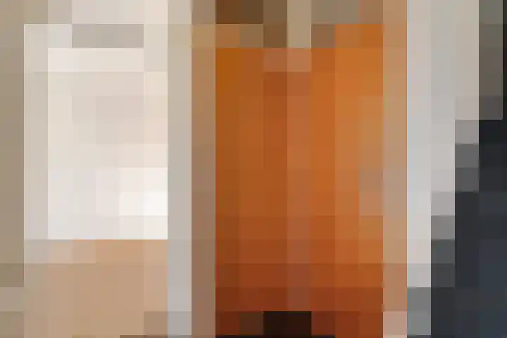 Dissel 7 Zuidwolde thumbnail 9