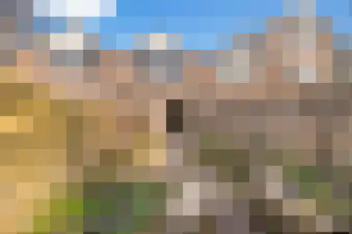 Dissel 8 IJsselstein thumbnail 29