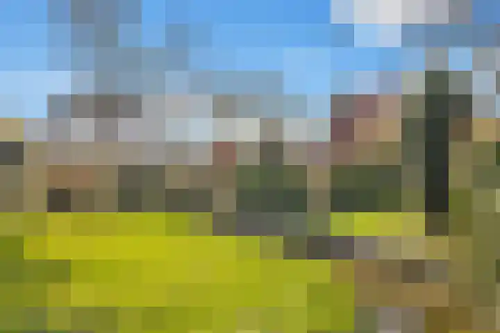 Dissel 8 IJsselstein thumbnail 45