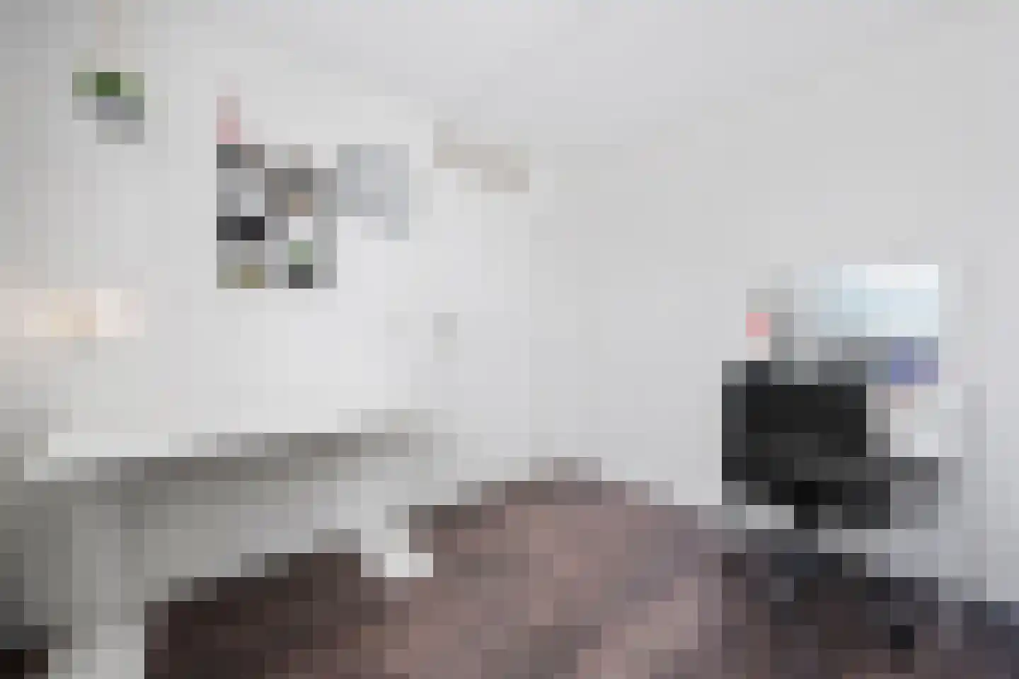 Dissel 84 Barger-Compascuum thumbnail 24