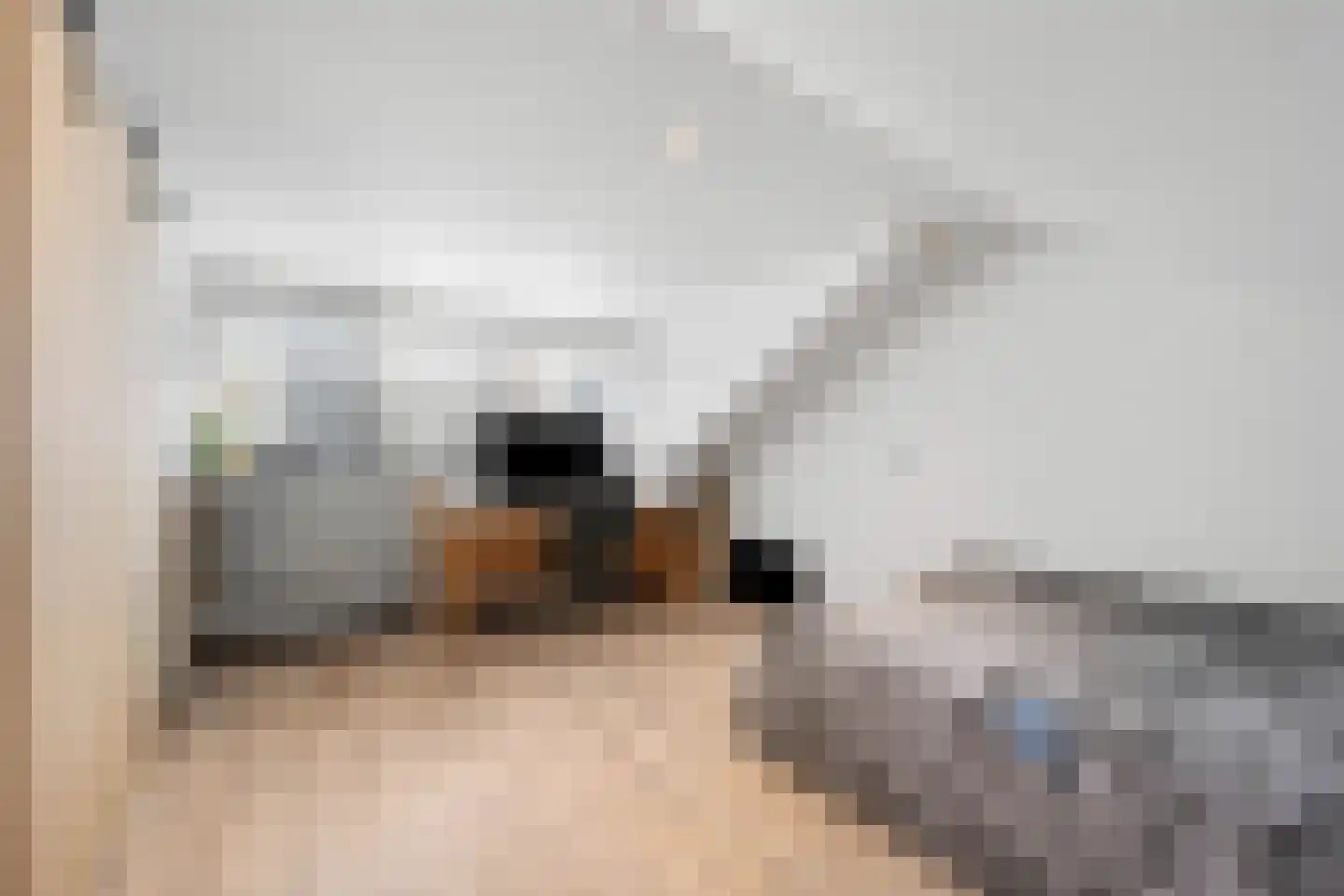 Dissel 84 Barger-Compascuum thumbnail 30