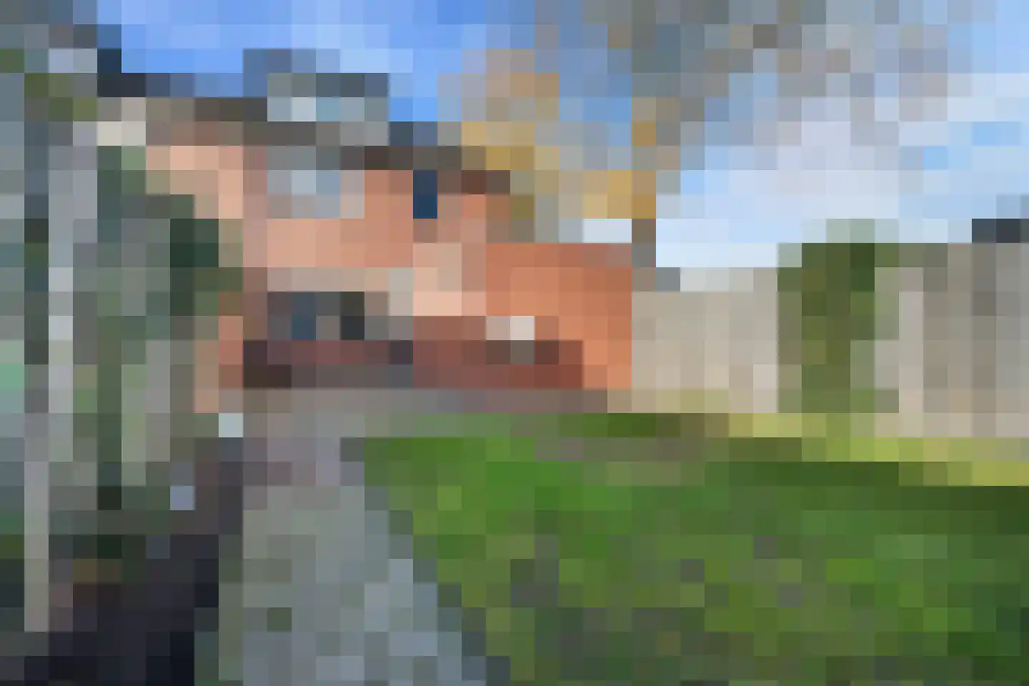 Dissel 84 Barger-Compascuum thumbnail 34