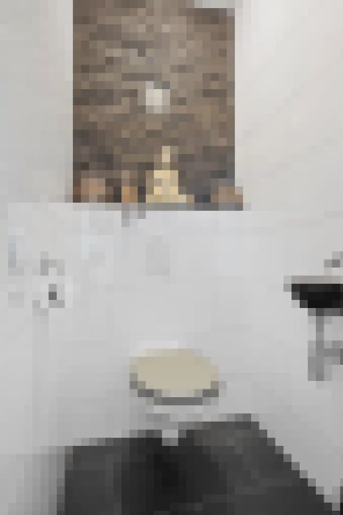 Dissel 84 Barger-Compascuum thumbnail 4
