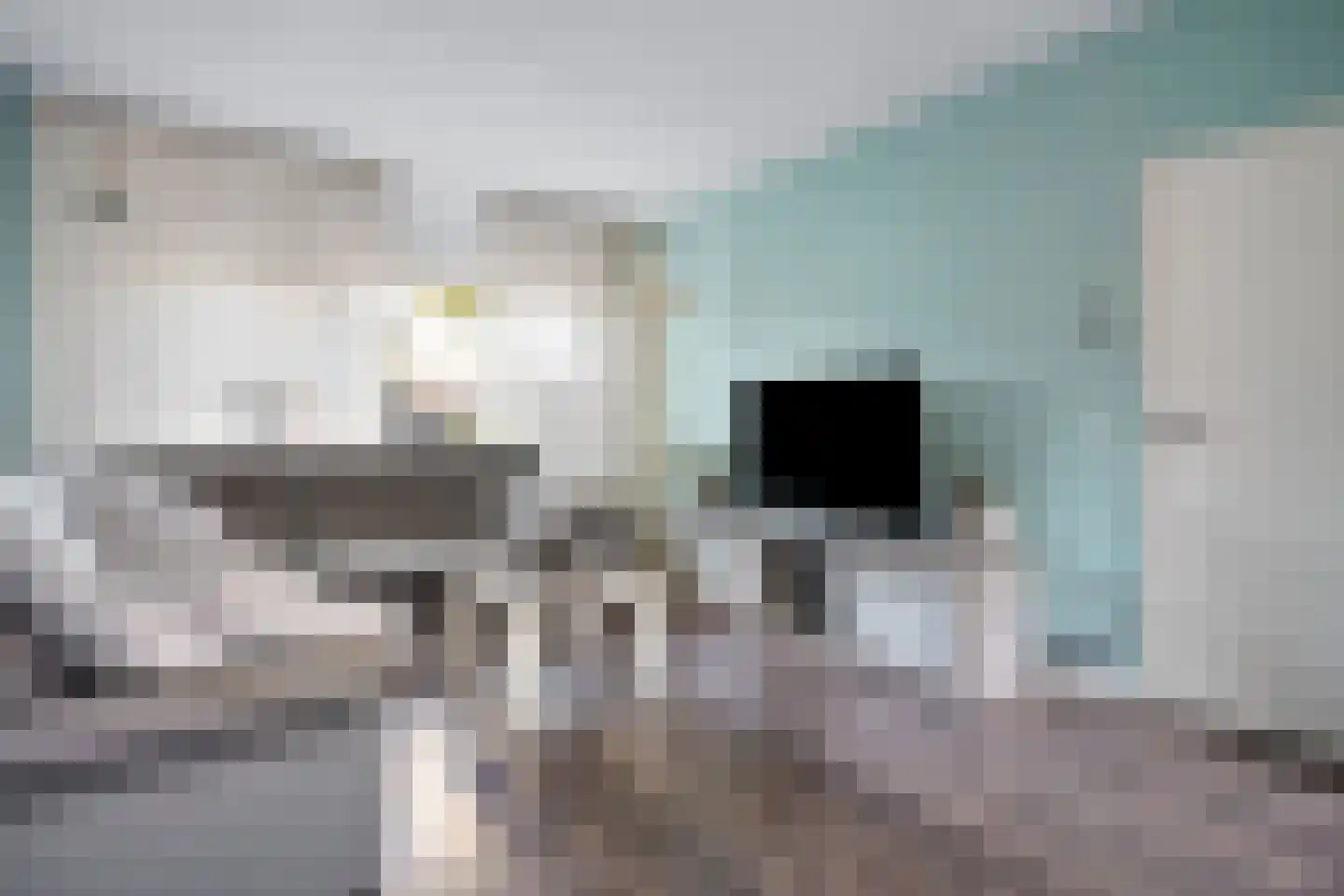Dissel 84 Barger-Compascuum thumbnail 6