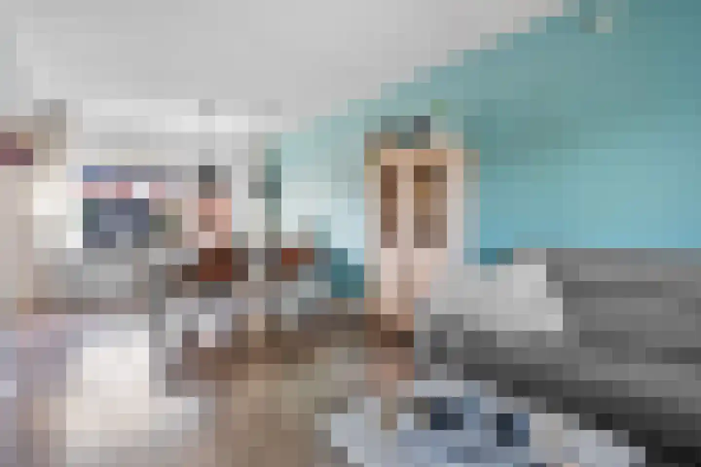 Dissel 84 Barger-Compascuum thumbnail 7