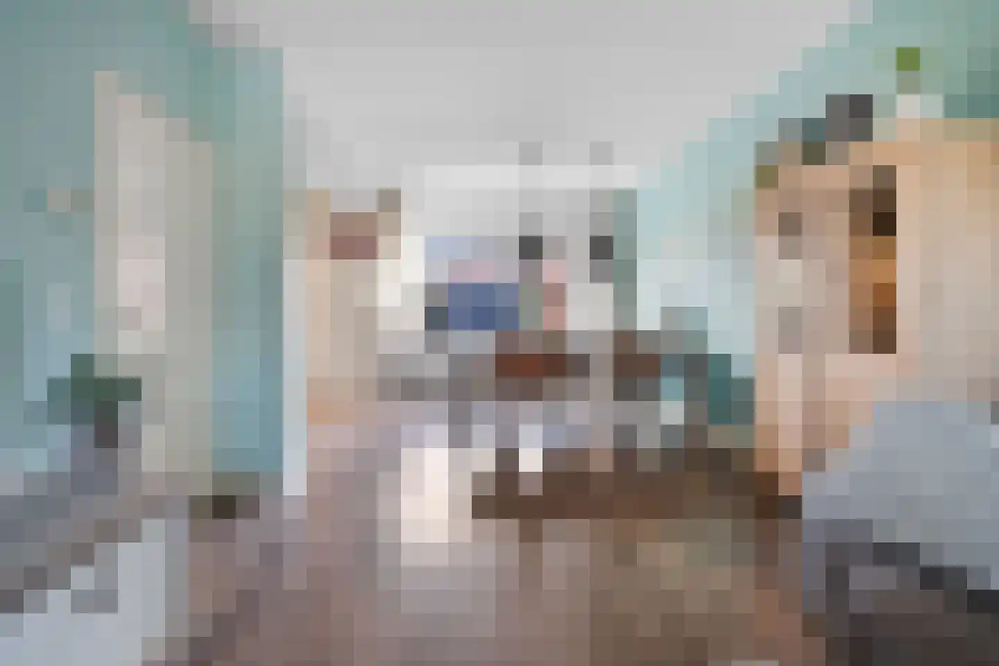Dissel 84 Barger-Compascuum thumbnail 9