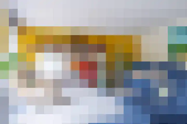 Disselhof 110 Apeldoorn thumbnail 10