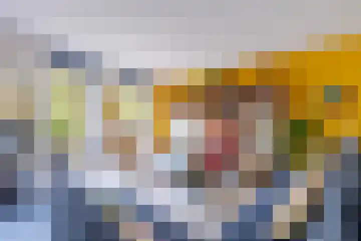 Disselhof 110 Apeldoorn thumbnail 11