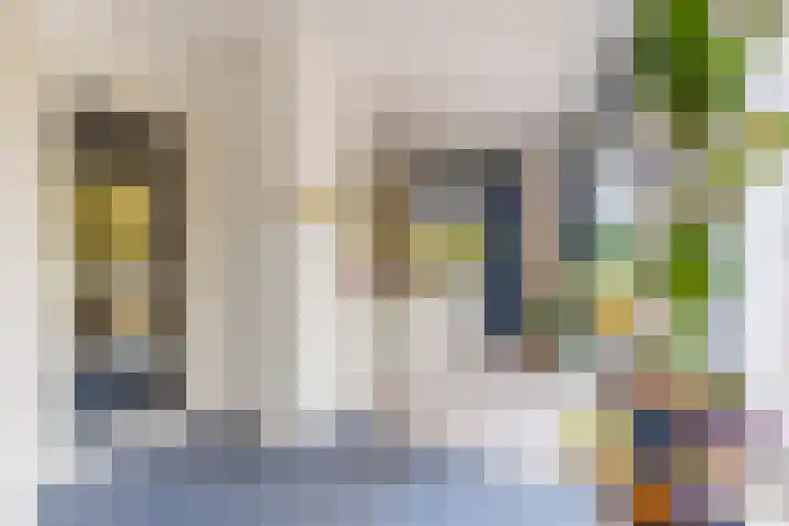 Disselhof 110 Apeldoorn thumbnail 12