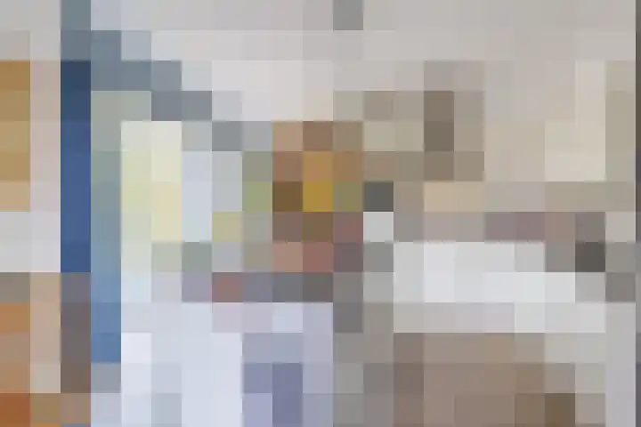 Disselhof 110 Apeldoorn thumbnail 16