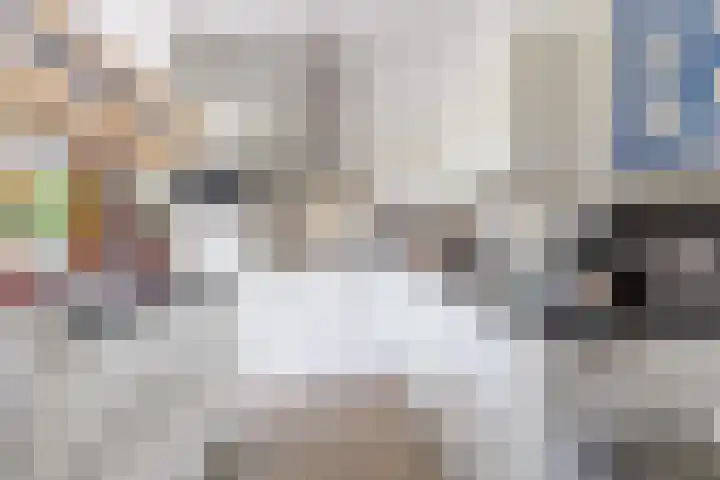 Disselhof 110 Apeldoorn thumbnail 17
