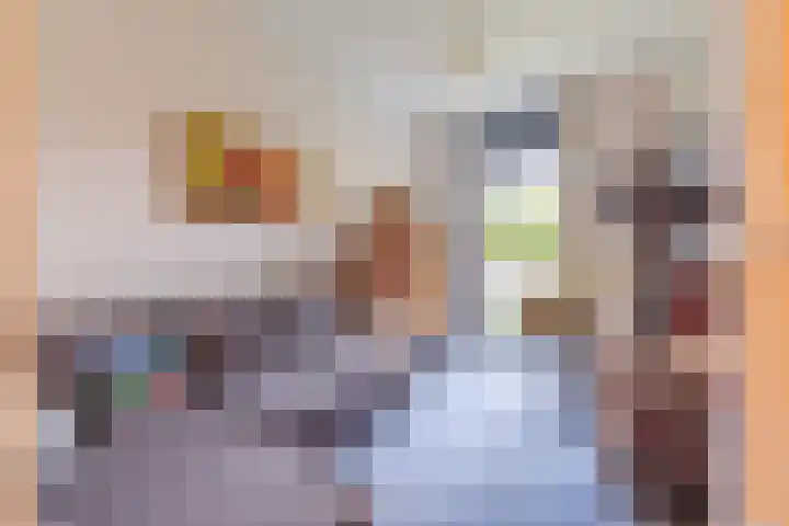 Disselhof 110 Apeldoorn thumbnail 19