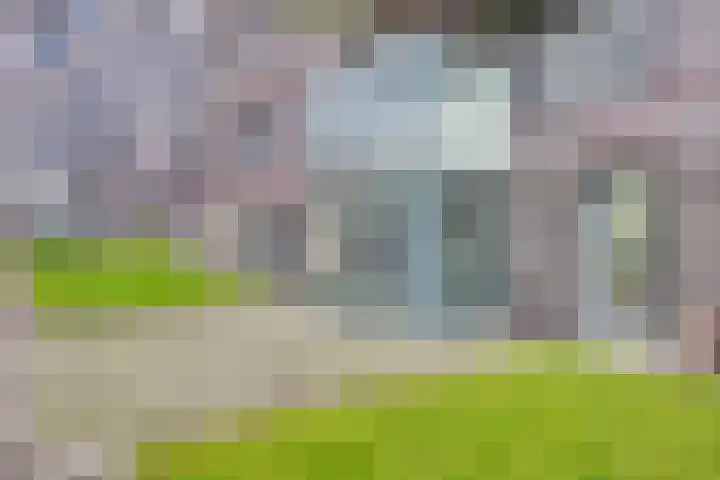 Disselhof 110 Apeldoorn thumbnail 24