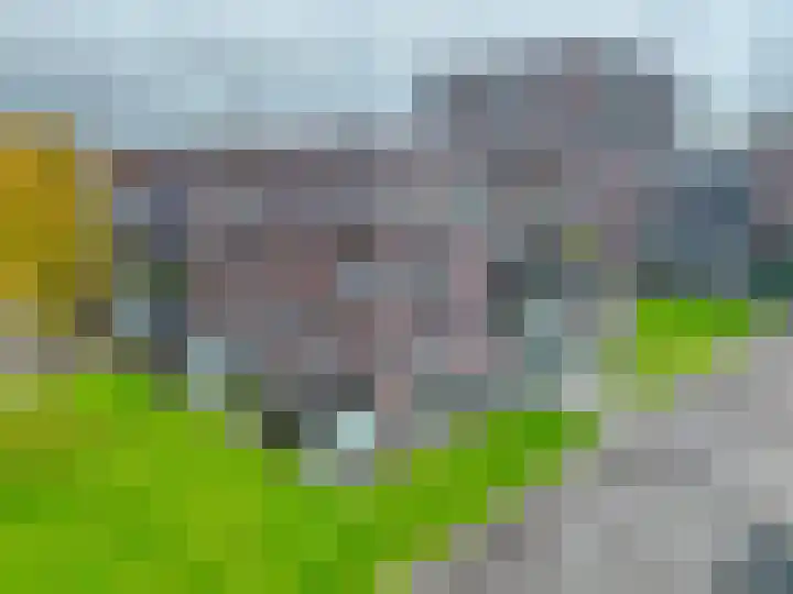 Disselhof 110 Apeldoorn thumbnail 25