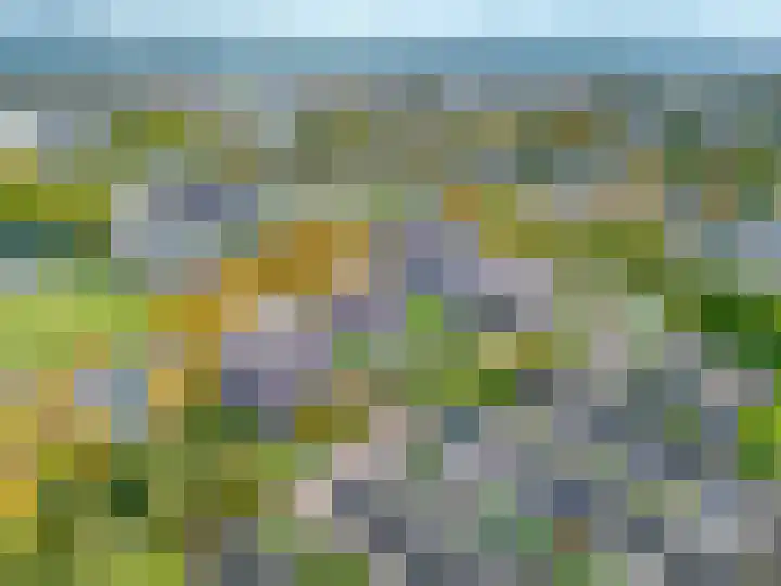 Disselhof 110 Apeldoorn thumbnail 28