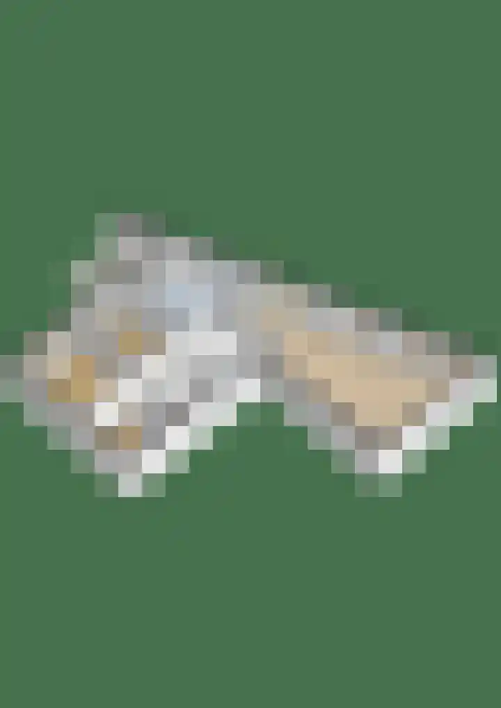 Disselhof 110 Apeldoorn thumbnail 31