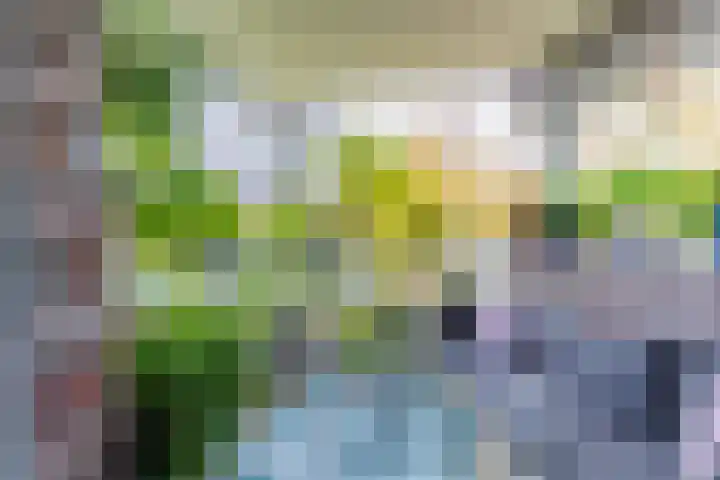 Disselhof 110 Apeldoorn thumbnail 4