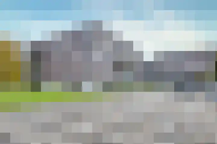 Disselhof 110 Apeldoorn thumbnail 6