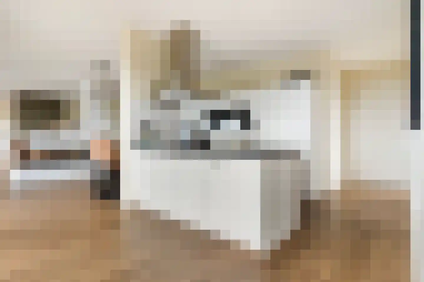 Disselhof 176 Apeldoorn thumbnail 23