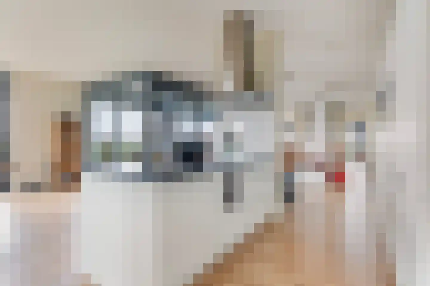 Disselhof 176 Apeldoorn thumbnail 26